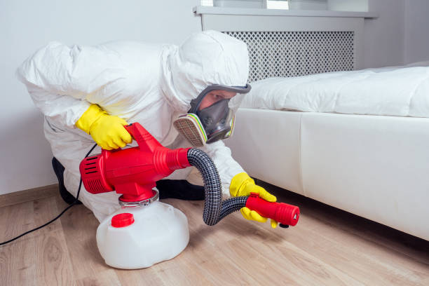 Best Pest Exclusion Services  in Crested Butte, CO